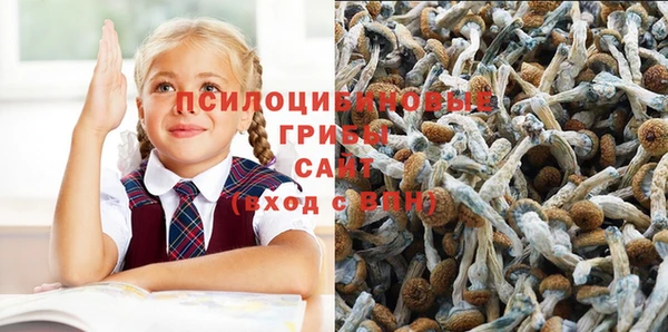 стафф Семикаракорск